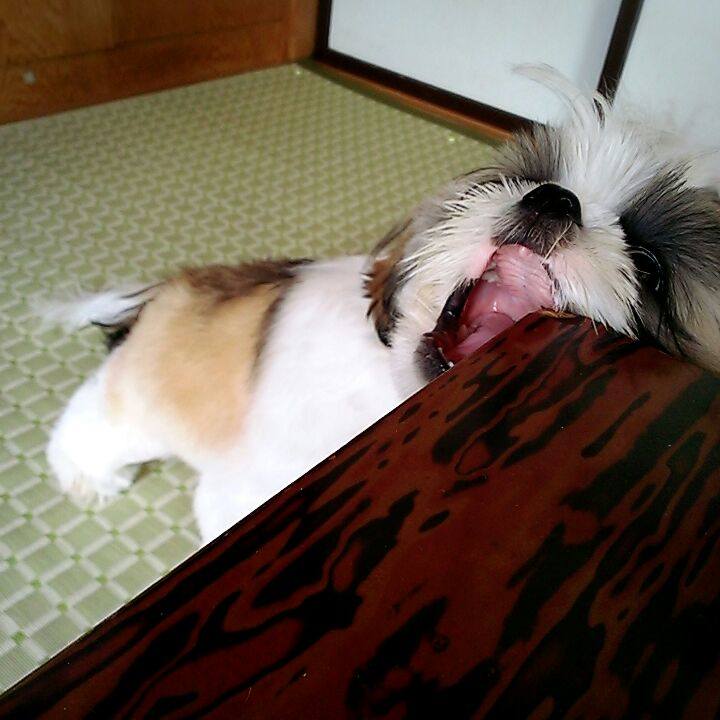 0b089915 7f6e 4dae 9619 9f5b1ffabb26