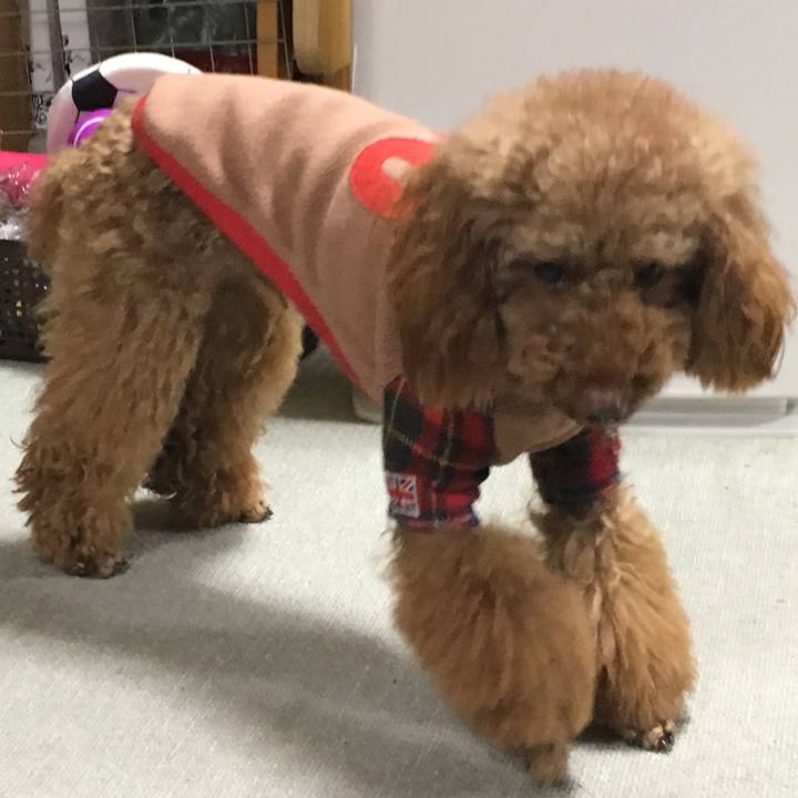 0b08b3ba 2e55 4b3d 966f 97eacb3996b4