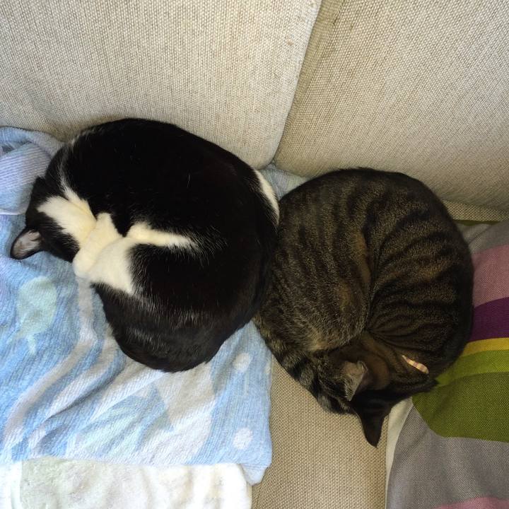 0b08bae5 3257 4f9d 8b60 2d20c1a21b11