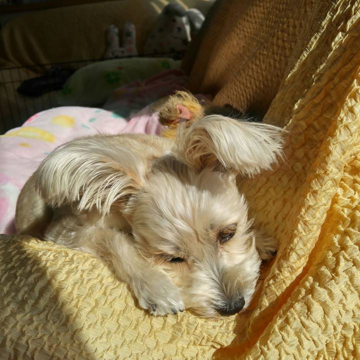 0b09618d f5ae 4ff2 bb6a fbf0f140f789