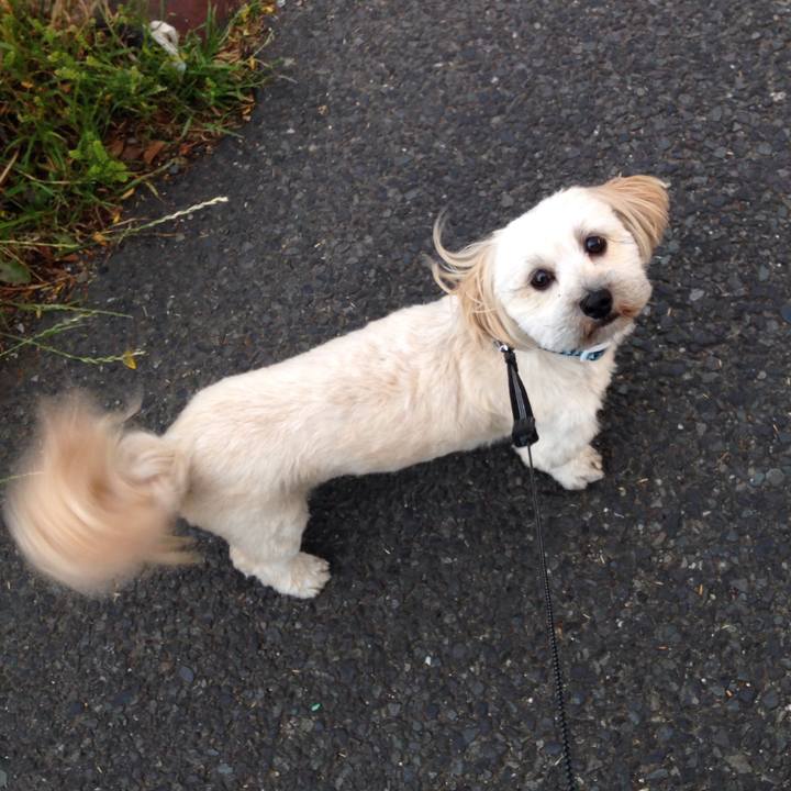 0b0966e5 70a0 43a0 9eab 480fb7d15773