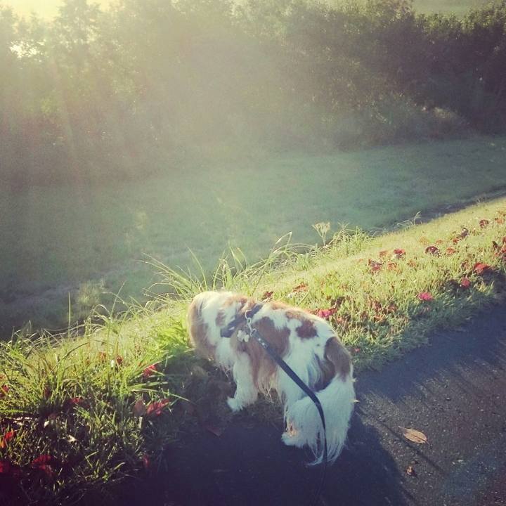 0b0b026a 5794 4d10 97de 6ac8b0016255