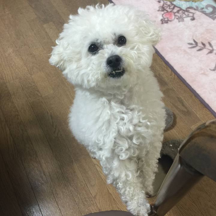 0b0b1a6f 1594 4cb2 881c e63ceabfb903