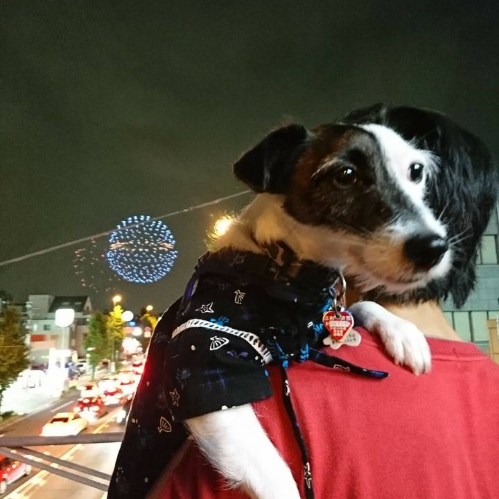 0b0b5d4f e9ac 47c3 8924 f4e7026fe4ab