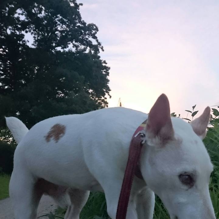 0b0b888e 62da 4d3a a400 2c4683340308