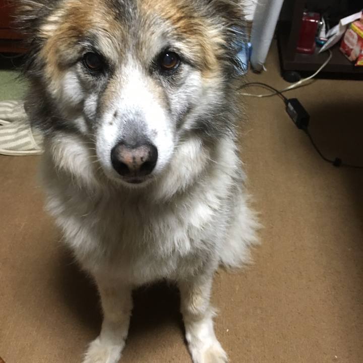 0b0b8c53 0b5b 45c1 9bd1 d1a441d4e2e7