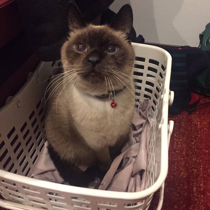 0b0bb375 4a9d 492f ad0c 04edec9ce902