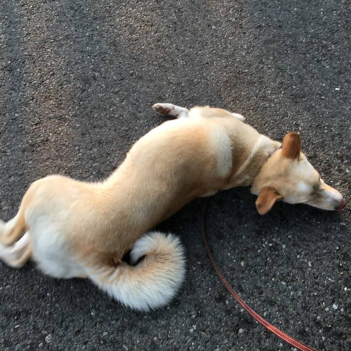 0b0c1961 770c 4919 9b90 408d8d88e472