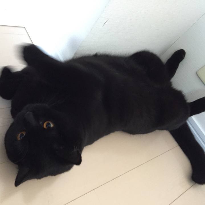 0b0c4702 384c 46e7 945a db82d7a36337