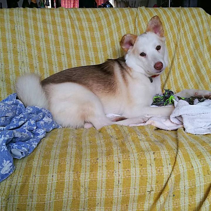 0b0d22b5 694b 4063 bd94 479c91bd8c74