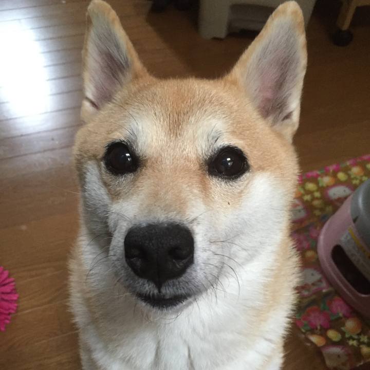 0b0d72b3 01fb 4c93 ad61 1304feb08e78