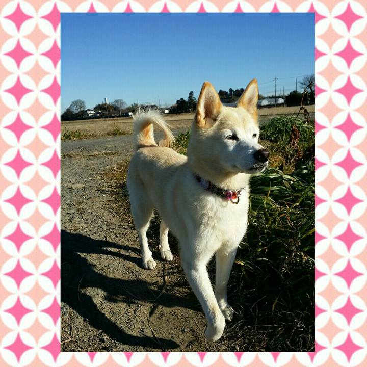 0b0dbe75 72cc 48d9 9c23 0d242846cbbc