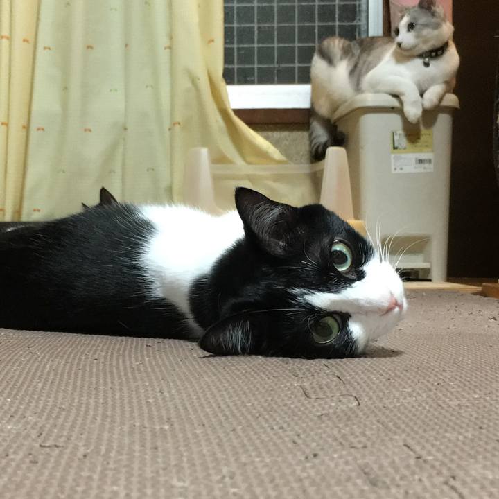 0b0e1166 29af 4852 83c7 6383021920ac