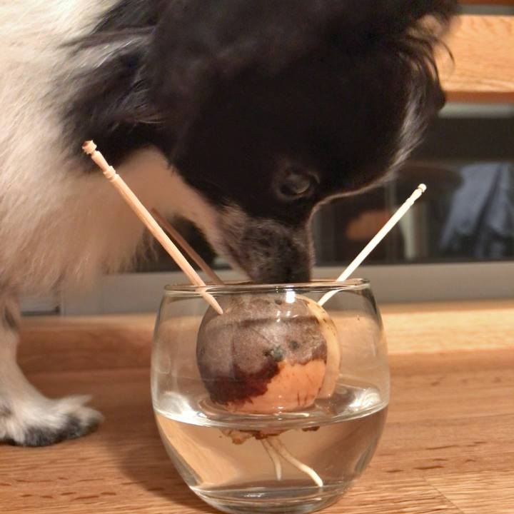 0b0ef711 9b5f 4b0e b37c 7c6772db9b1f