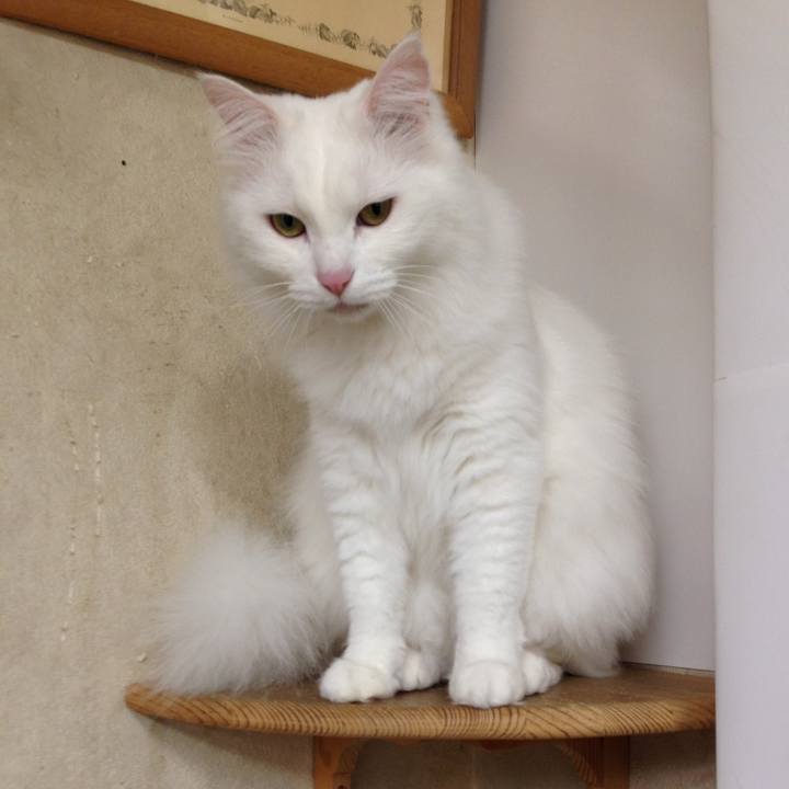 0b0f504f 8111 486b 9cb5 45d4921f51c6