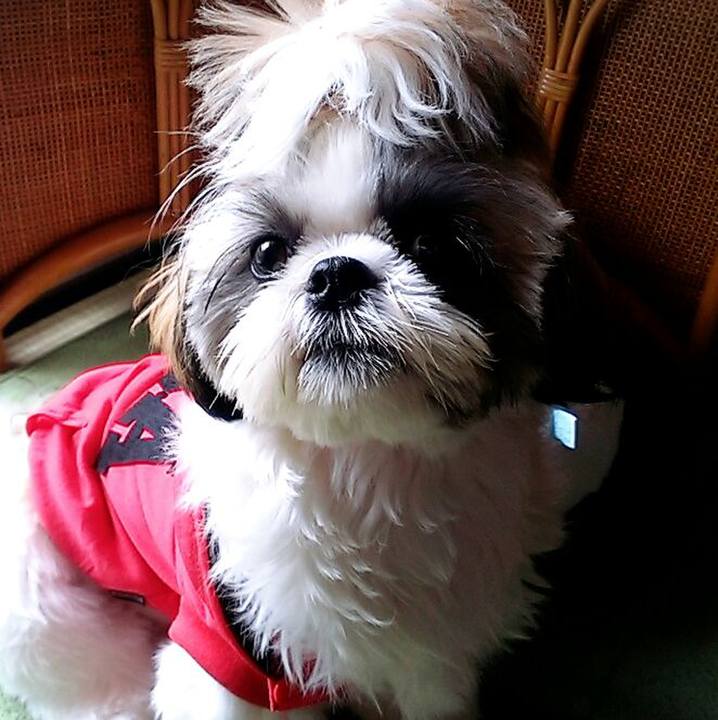 0b0f6fd5 d361 4adb 9b2d 7e2b837dcca8