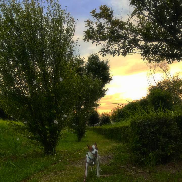 0b0fc530 dd79 413b b71a 0c200384228b