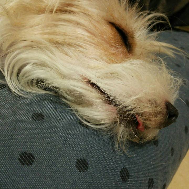 0b102ada 73f2 478f 8cb0 894b818a7dc6