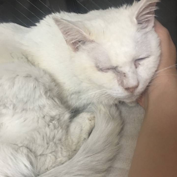 0b107cdd aaa9 4f49 b4fa e0d0c0c96b5b