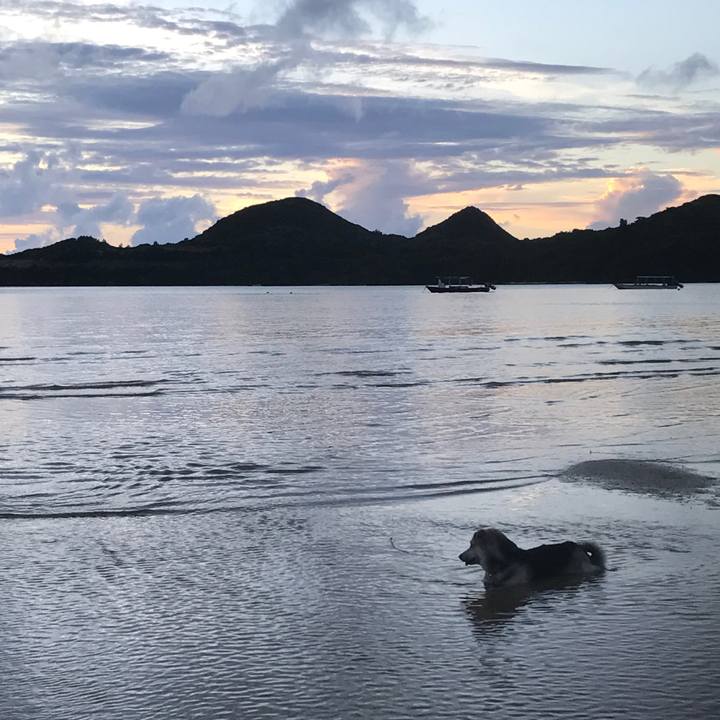 0b1088c7 3d5b 478e 8824 92f8f8e0bb34