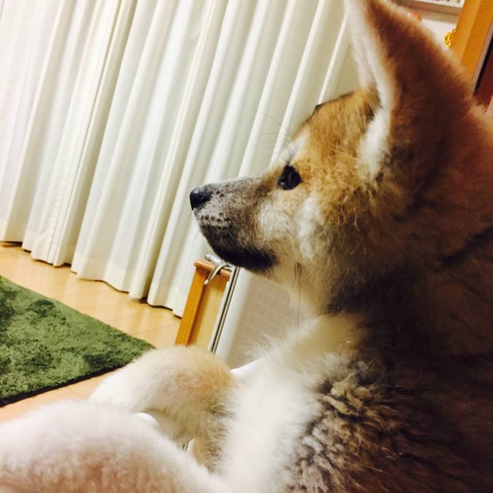 0b10a263 bf3c 4935 847d c794c2d2048a