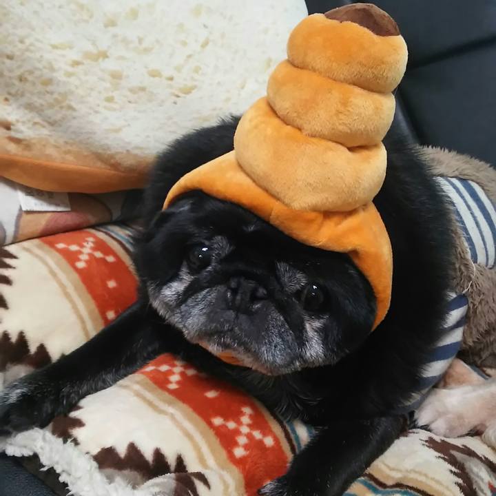 0b10a551 6cfb 4d45 8fb3 ceede890e63f