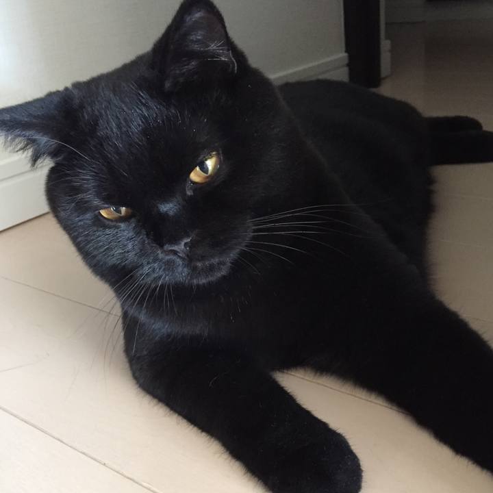 0b10bb97 a276 486c a49c 4c4aa3dc4005