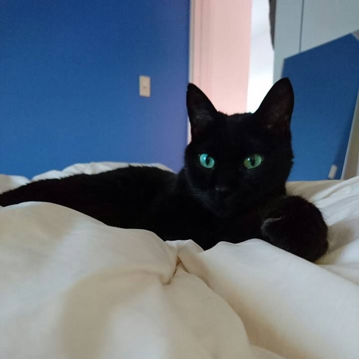 0b113b5f 73b7 4a6e 8516 6c719df9b6ea