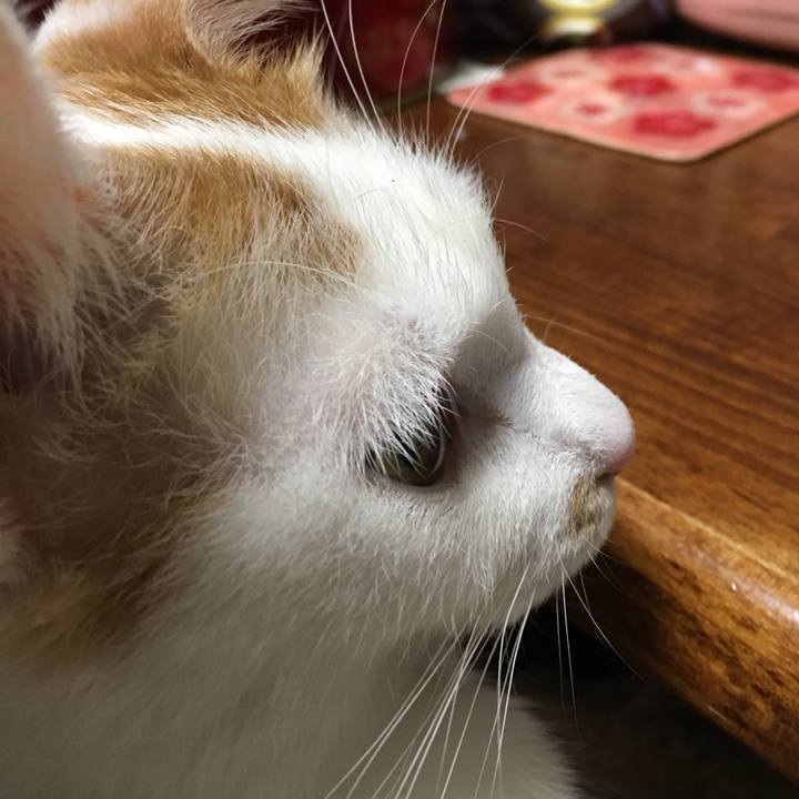 0b115243 a259 4023 af6f 41ef3ae05bba