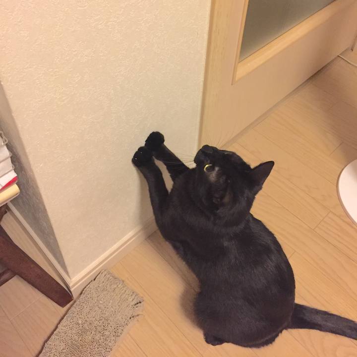 0b11c14d e4c3 46a5 82df d581329b3147