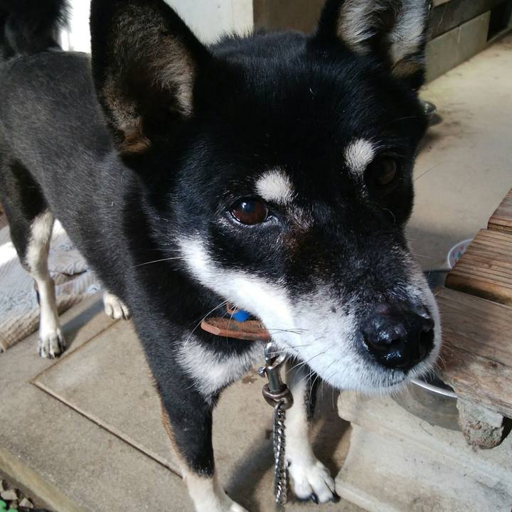 0b11c502 5a42 42b8 a18f 8e6de7b33f60