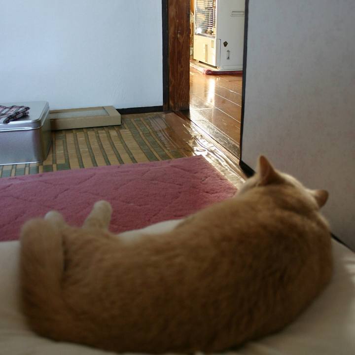 0b1236a5 0646 4b8e 881c d427fcfafd76