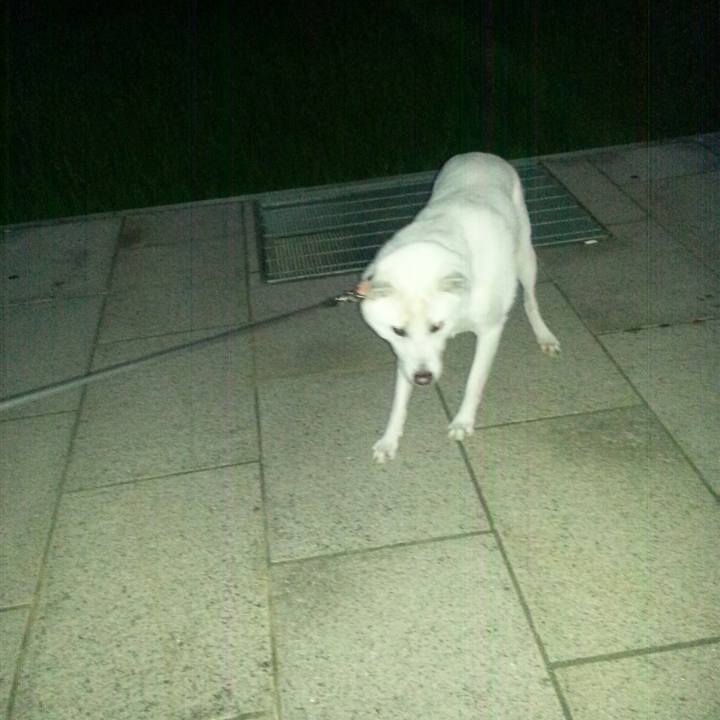 0b127463 d2bc 428f 842a 18549fe866a9