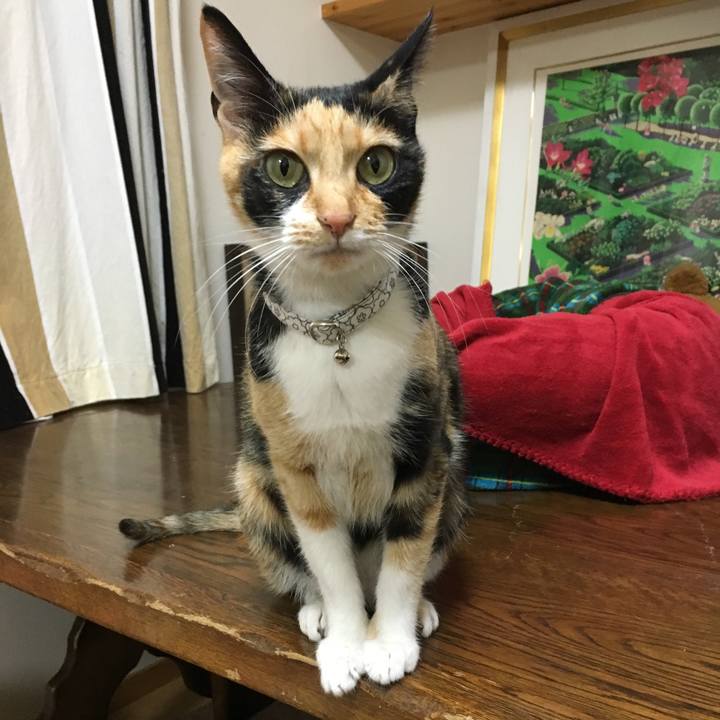 0b127f4b d75d 40a9 8338 2531ccbf5e5a