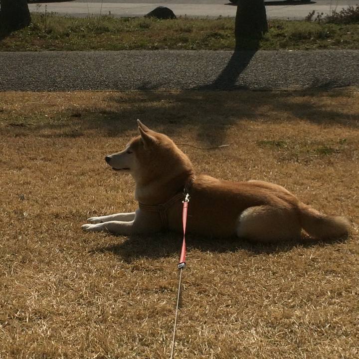 0b129bba 87a6 4a04 981b f98176fbbf76