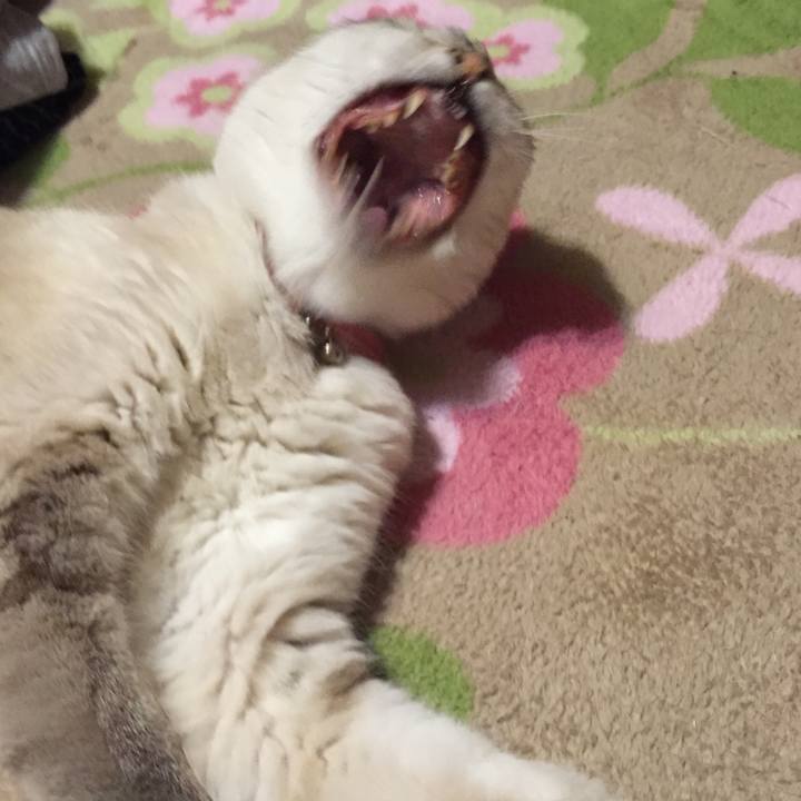 0b12b929 1091 4d84 9b85 0653047ff975