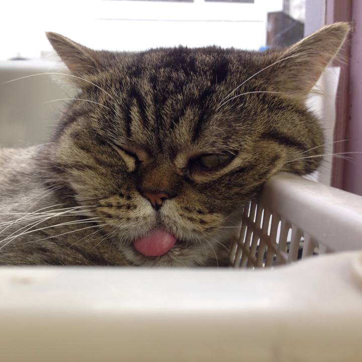 0b130433 1d43 43e5 a5ec 87ce501f4ce5