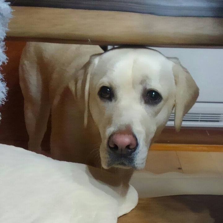 0b137d58 582a 48f6 9749 69d822a0a61b