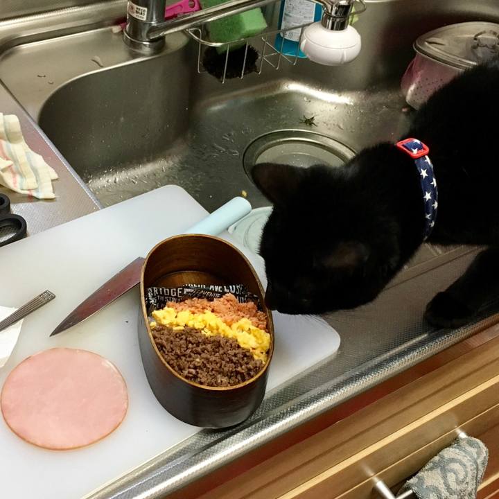 0b142d99 c48d 45af 85d5 8bd4efcec28a