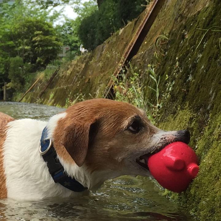 0b14b0de 04b3 4c36 b67f dd0be1432e9c