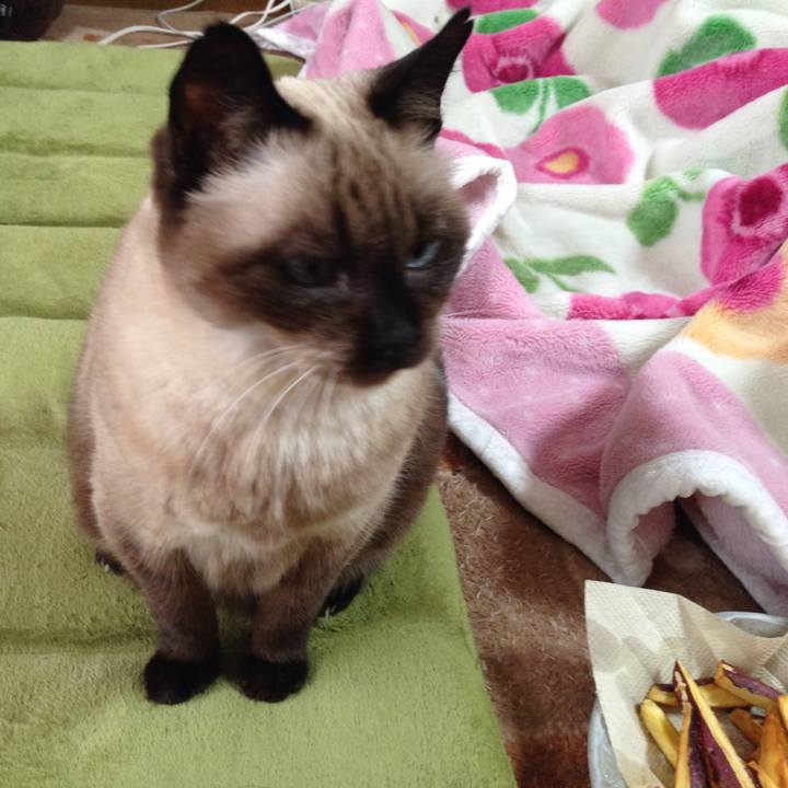 0b14d456 16b4 465c 8e8c 564802789f5d