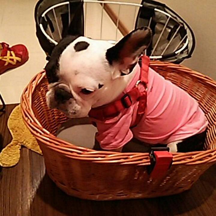 0b14ecbc fdf1 4403 8889 3b3e31bc7102