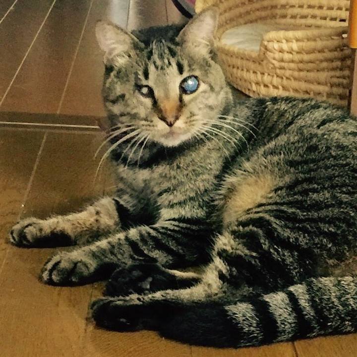 0b152364 dc5e 49c6 bfa0 e60e2d0e1ea3