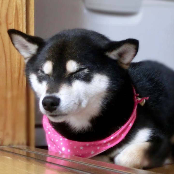 0b154e44 eacc 4943 9f7e bcef31dd60bc