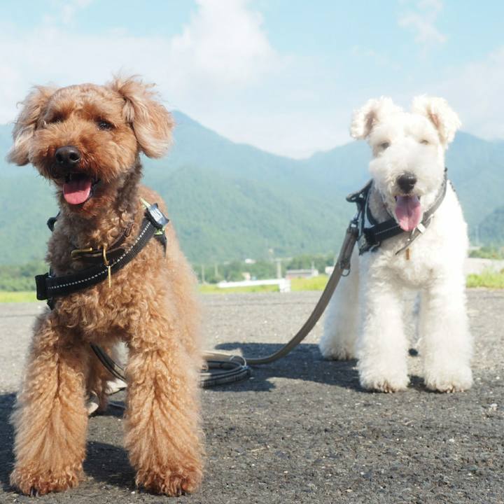 0b1677ba 7465 44b5 8f42 148b7dfd0524