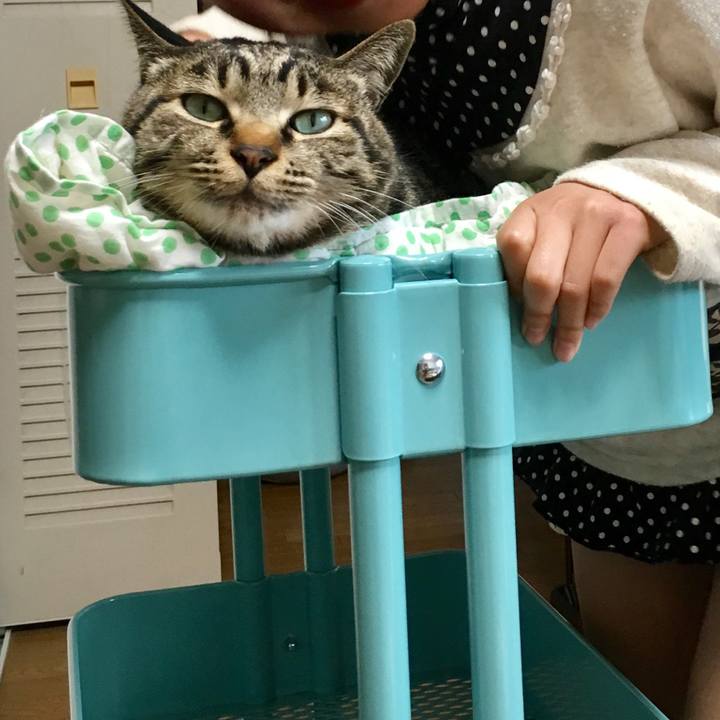 0b16acf5 17a6 4de8 94c2 e32dd06a215e