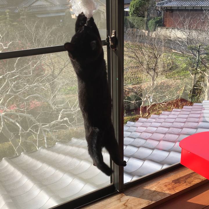 0b172e76 4e01 402c 9f58 bc7a2f4d445e