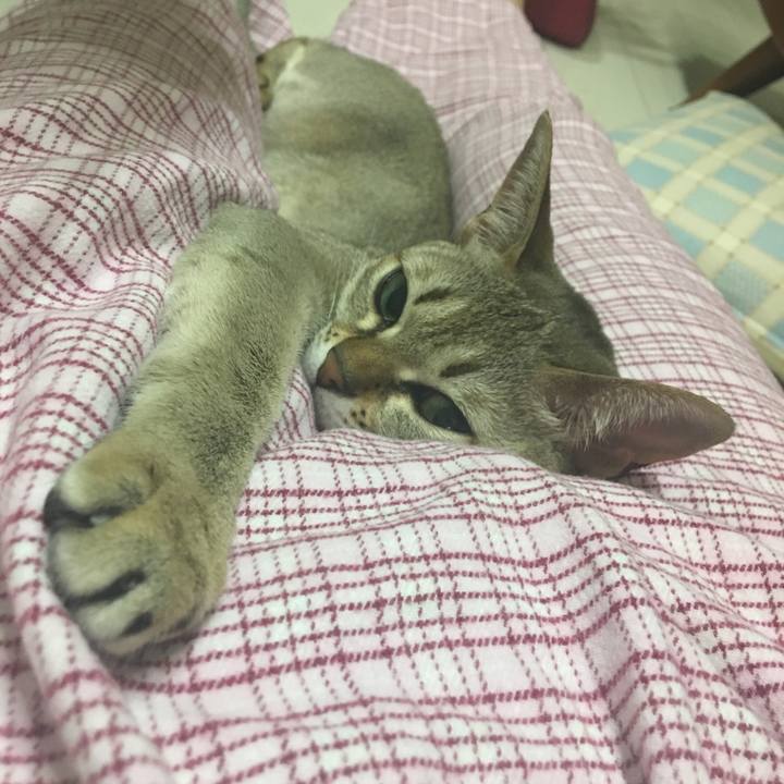 0b177fbe 3965 4265 b4a0 0a94f3433b65