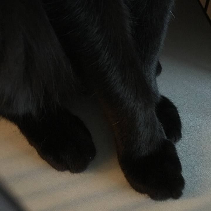 0b17f32c 3c36 4a72 959e ffa9e6f5e213