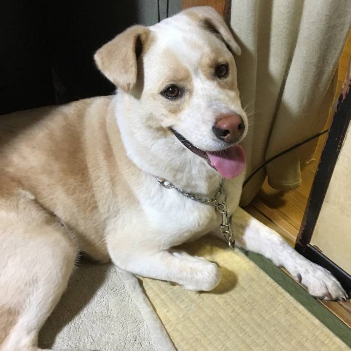 0b18480d b482 469e 9cef 06aafe9e2b8f